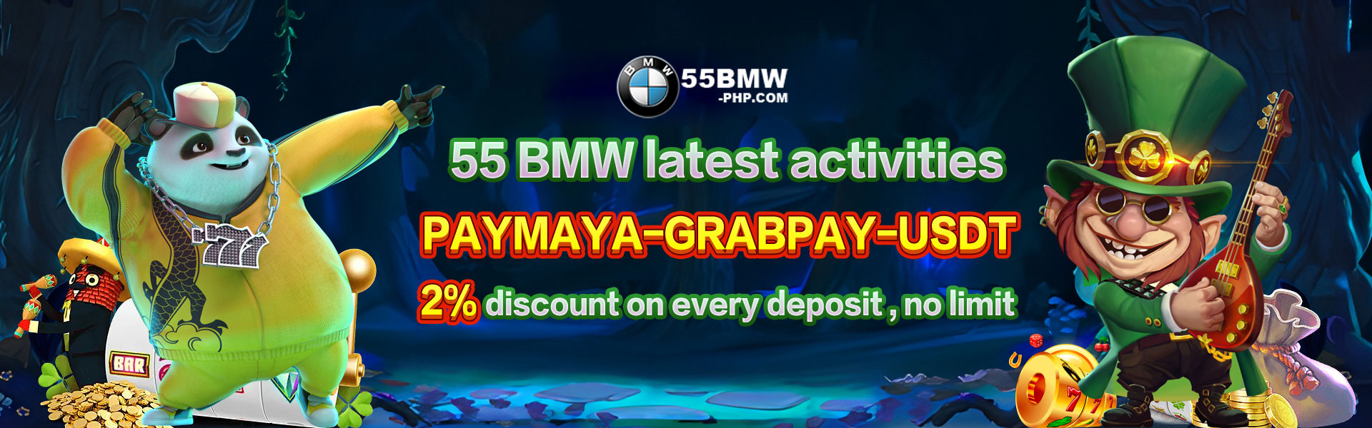 55bmw banner